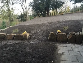 Baggerarbeiten Dienstleistung